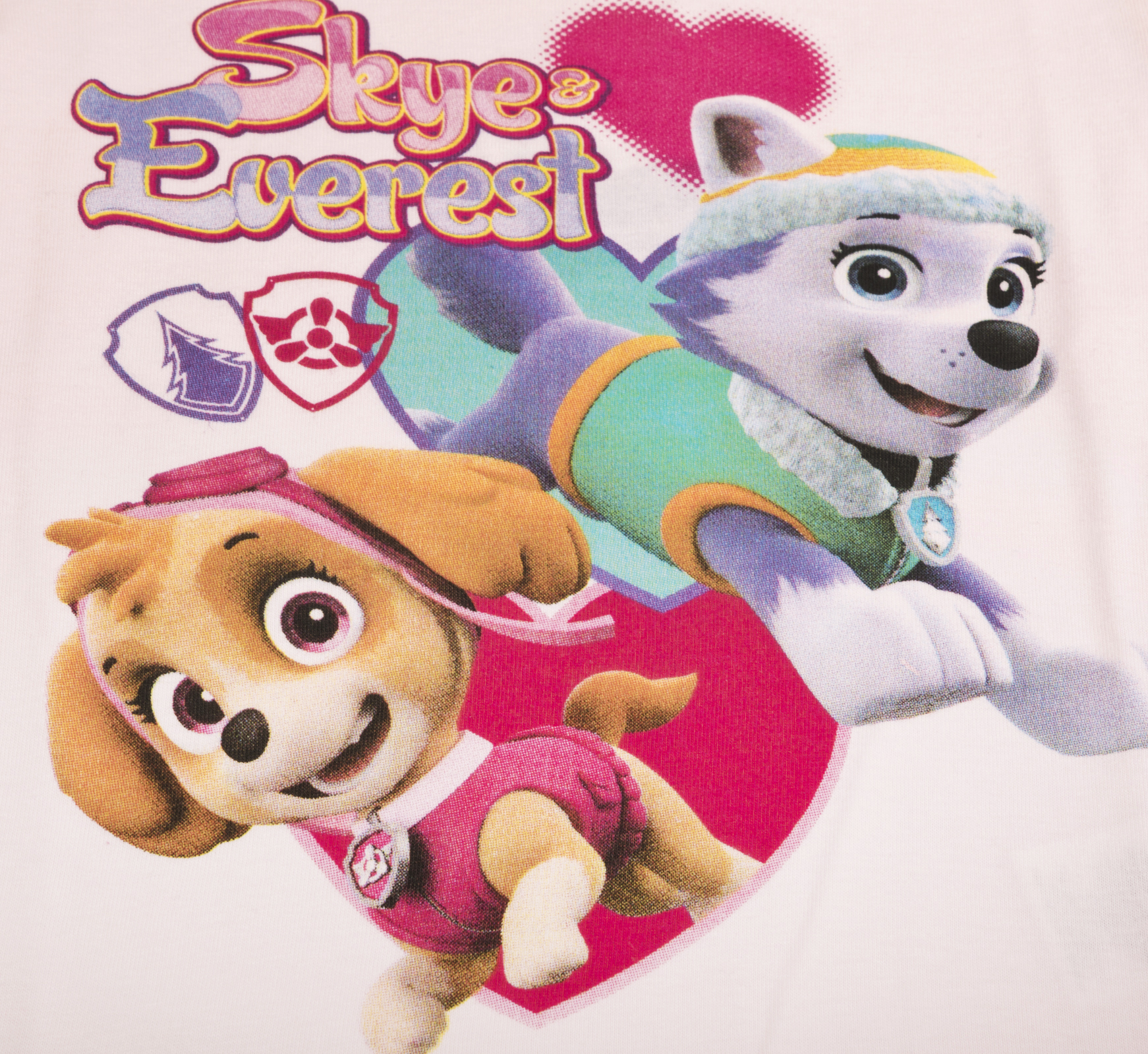 Girl PAW Patrol Wallpaper